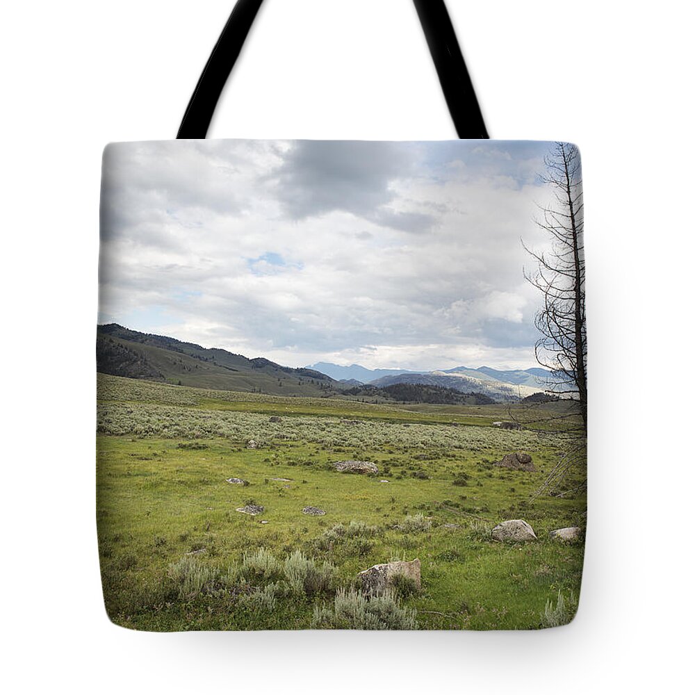 Lamar Valley Tote Bag featuring the photograph Lamar Valley No. 1 by Belinda Greb