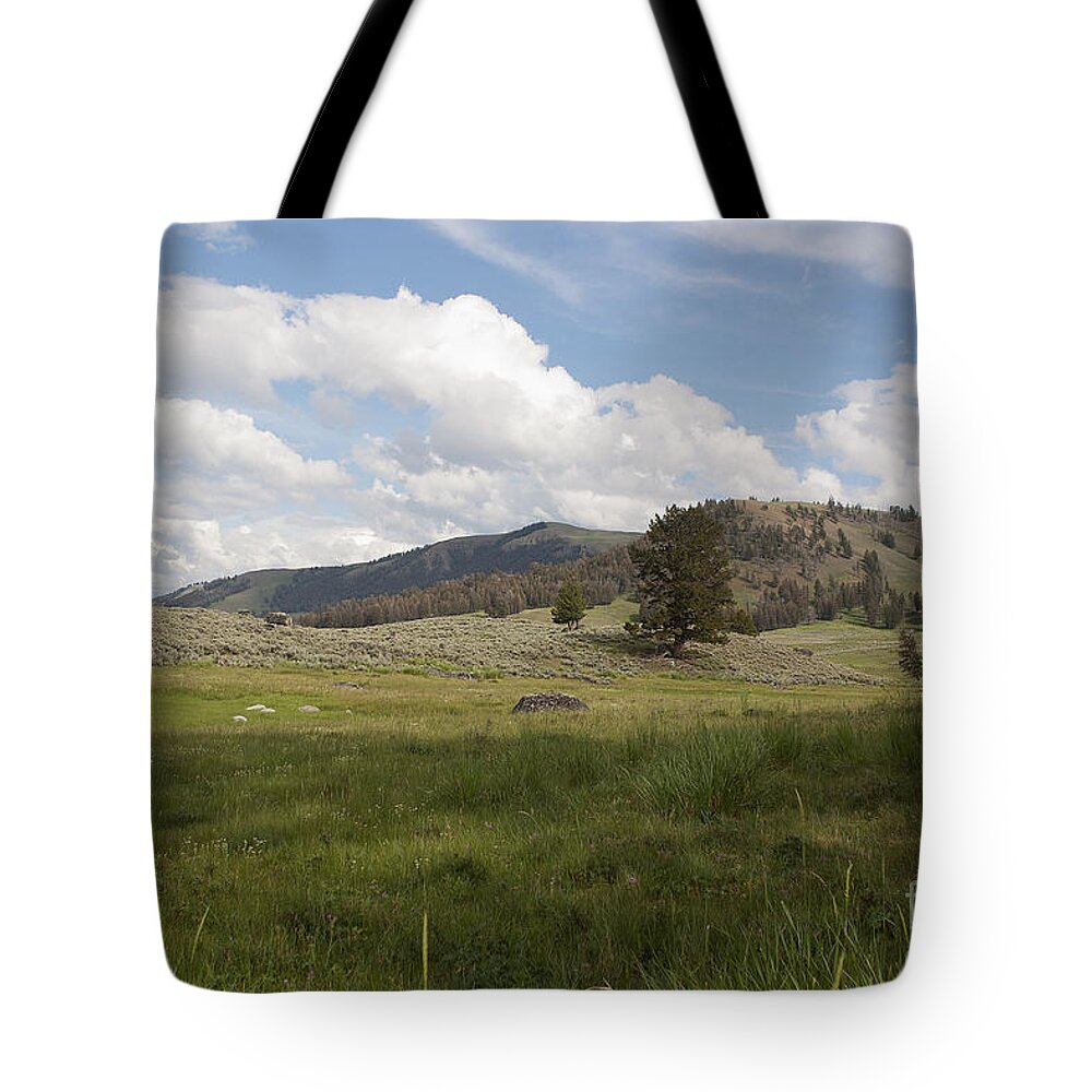 Lamar Valley Tote Bag featuring the photograph Lamar Valley No. 2 by Belinda Greb