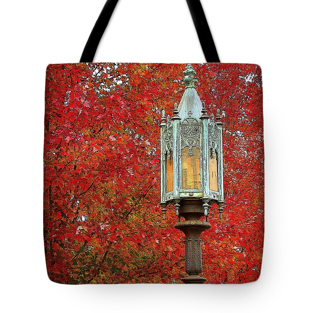 Fine Art Tote Bag featuring the photograph Lamp Post in Fall by Rodney Lee Williams