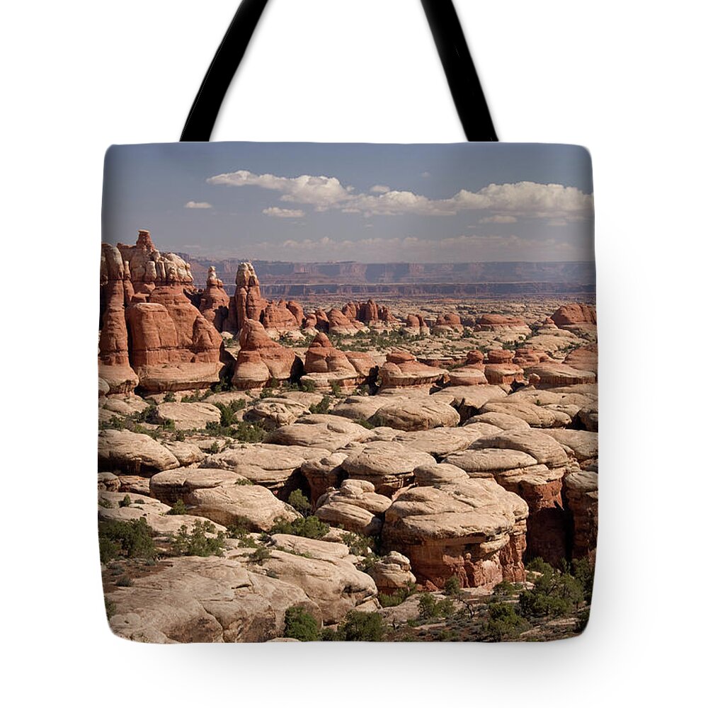 Scenics Tote Bag featuring the photograph Landscape From Elephant Hill To Chesler by John Elk