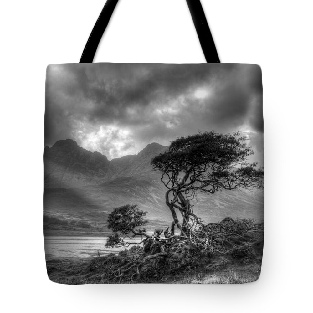 Scottish Landscapes Tote Bag featuring the photograph Lonely tree. Landscape of the Scottish Highlands in Scotland by Michalakis Ppalis
