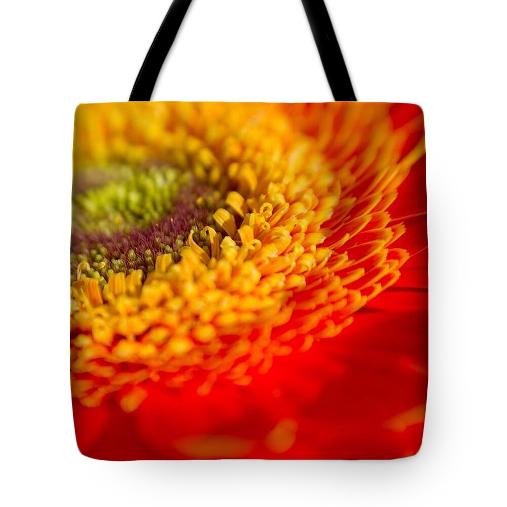 Flower Tote Bag featuring the photograph Landscape of a Flower by Natalie Rotman Cote