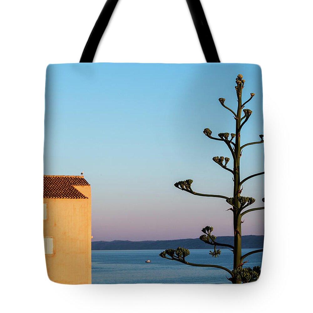 Tranquility Tote Bag featuring the photograph Large Agave Flower In Old Adriatic Town by Miha Pavlin