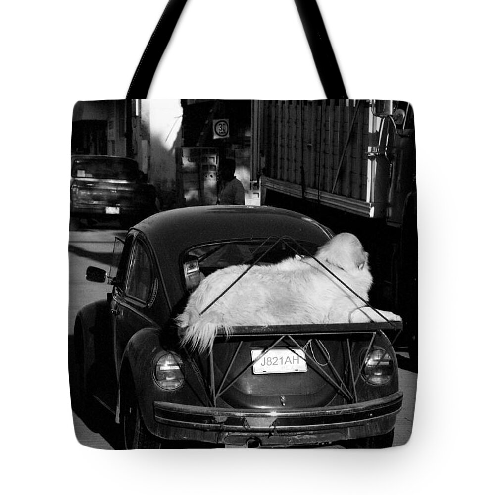Volkswagen Tote Bag featuring the photograph Large Dog on Beetle by John Harmon