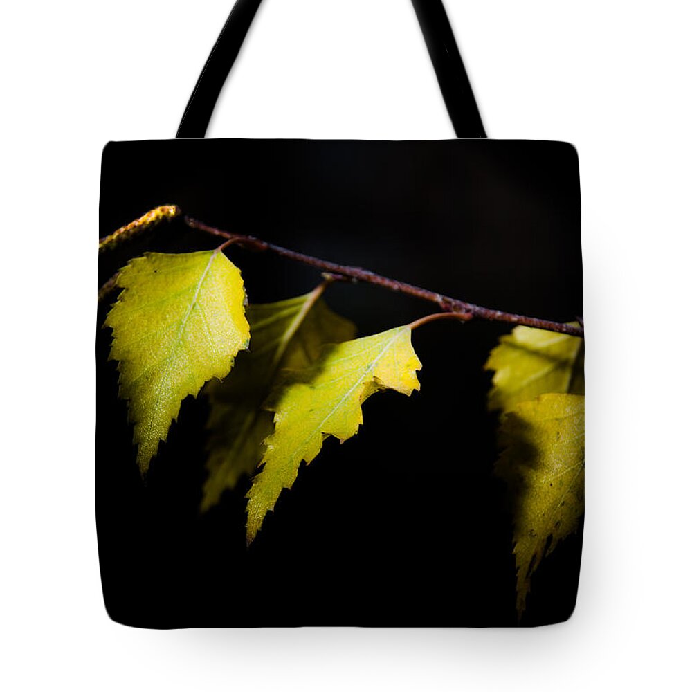 Autumn Tote Bag featuring the photograph Last autumn gifts by Michael Goyberg