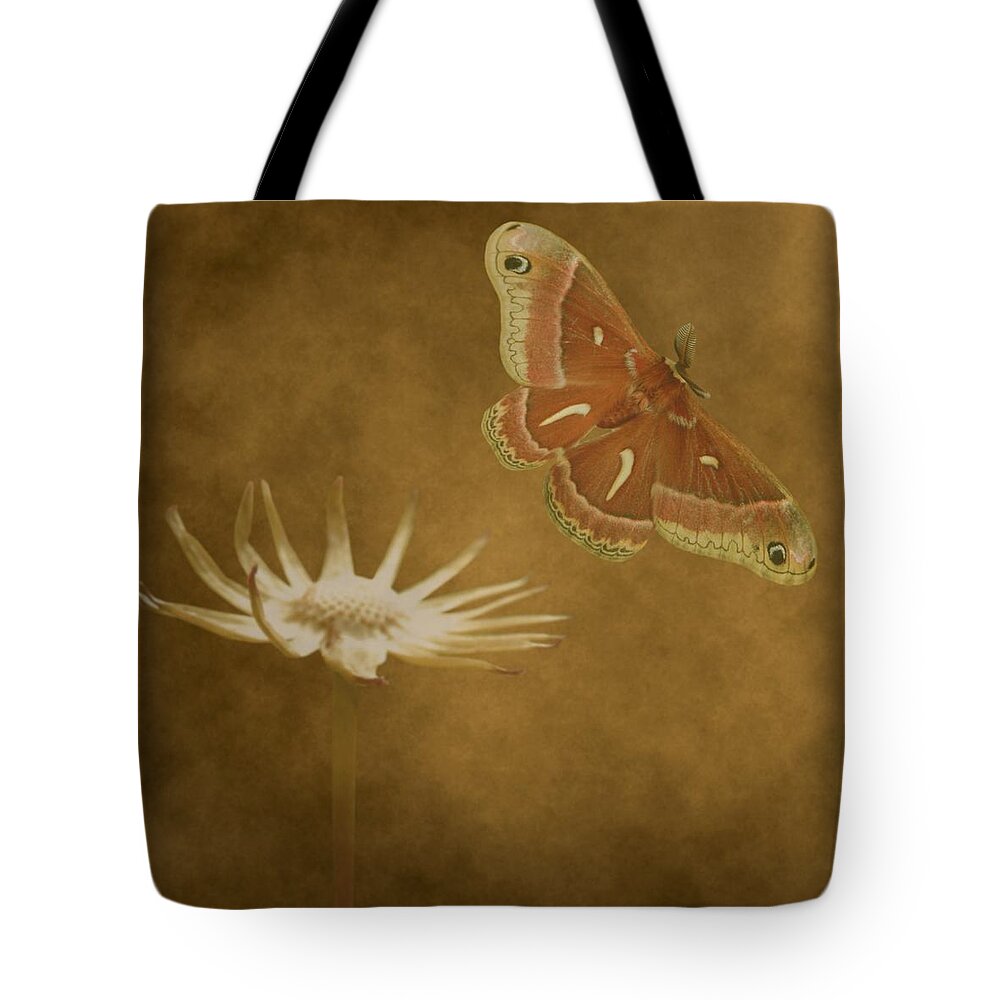 Photograph Tote Bag featuring the mixed media Last Flight by Barbara St Jean