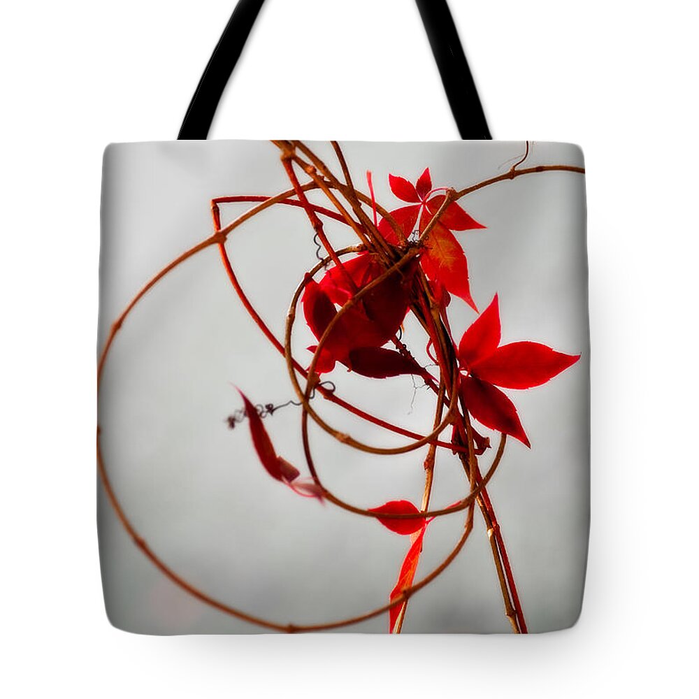 Autumn Tote Bag featuring the photograph Last Leaves by Venetta Archer