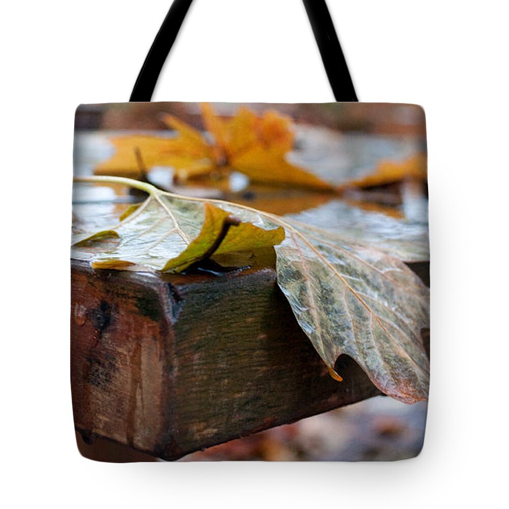 Fall Tote Bag featuring the photograph Last of the Leaves by Gwyn Newcombe