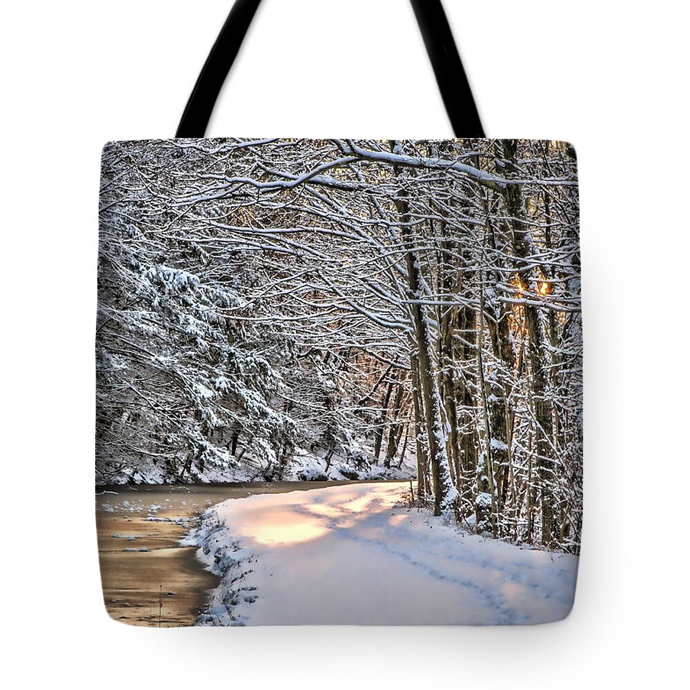 Nature Tote Bag featuring the photograph Late Afternoon in the Snow by Eleanor Abramson