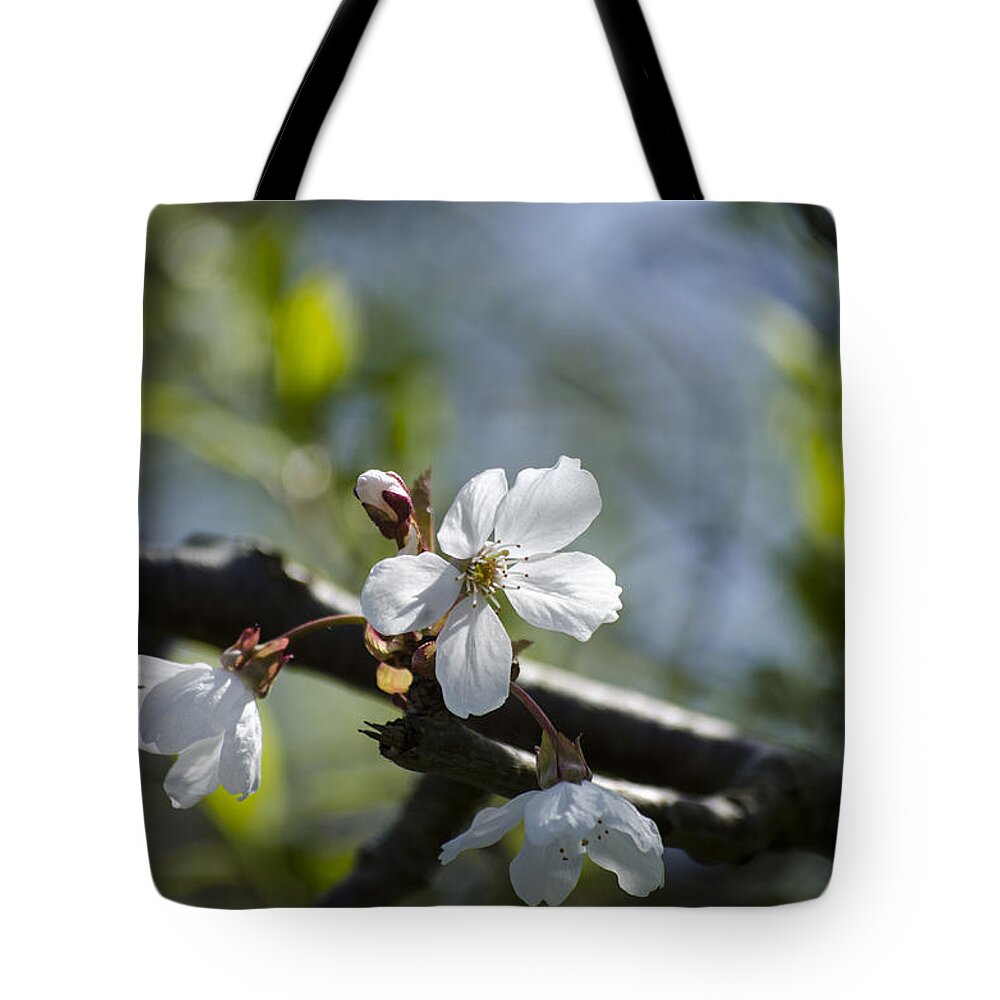 Green Tote Bag featuring the photograph Late Spring Blossom by Spikey Mouse Photography
