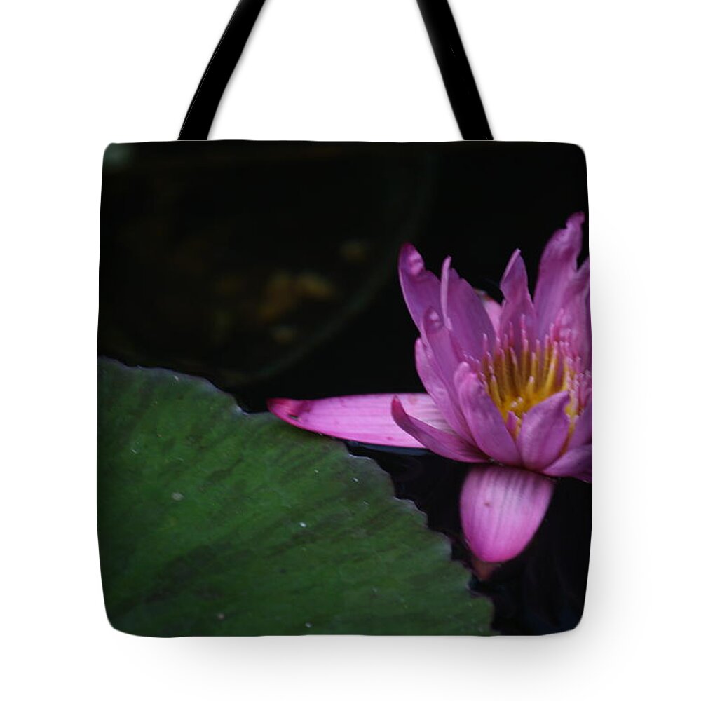 Purple Tote Bag featuring the photograph Lavendar Water Lily by Donna Walsh
