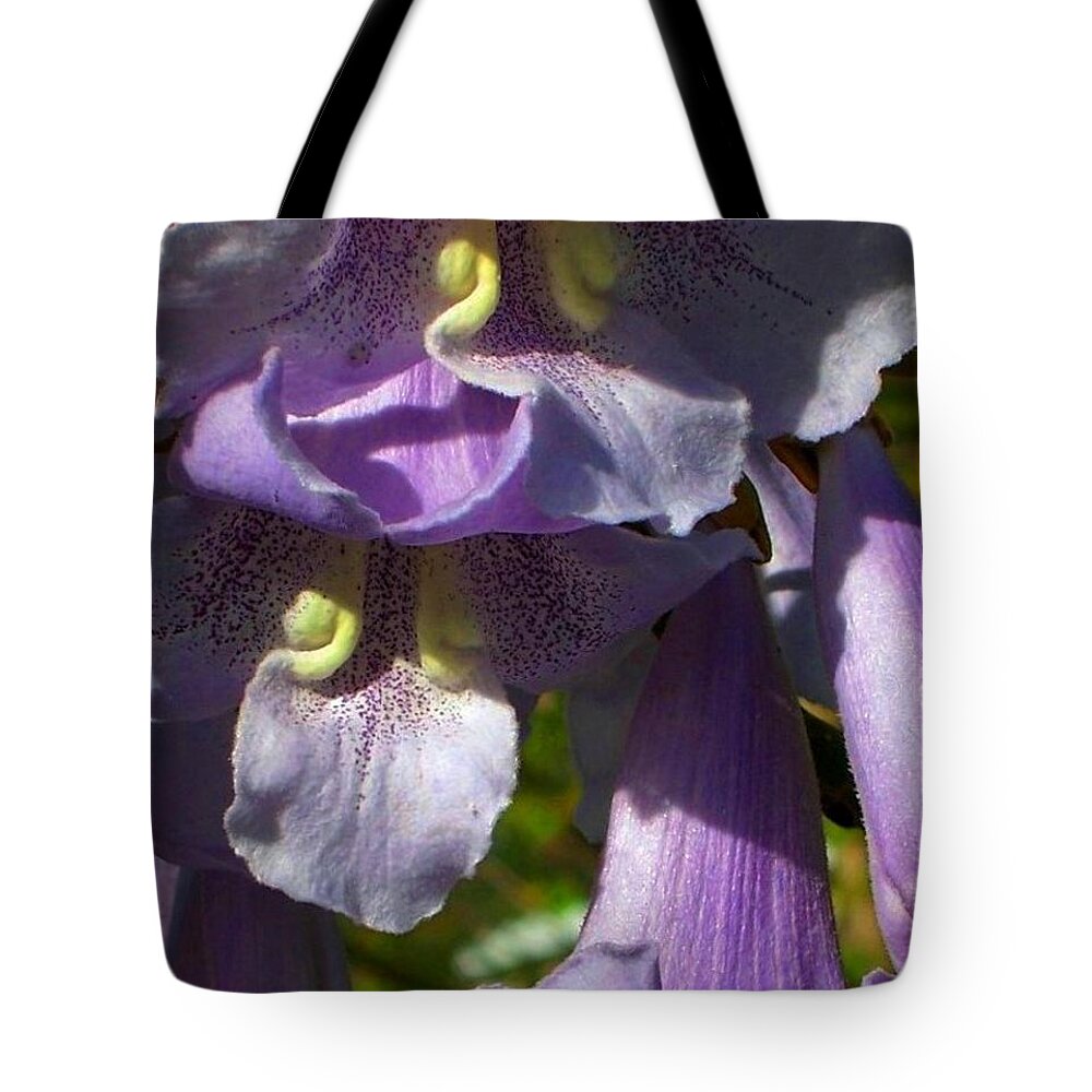 Purple Tote Bag featuring the photograph Lavender by David Neace CPX
