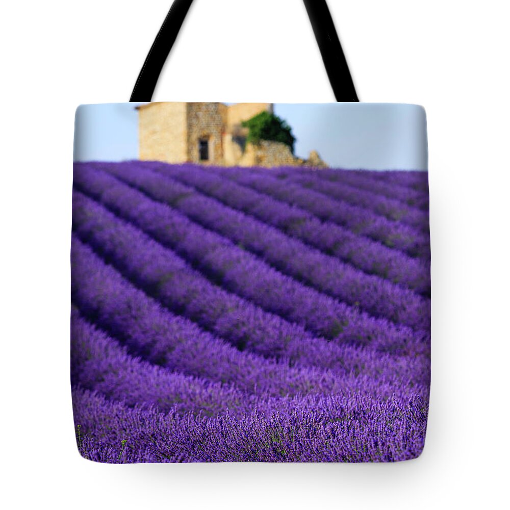 Scenics Tote Bag featuring the photograph Lavender Field At Sunset by Republica