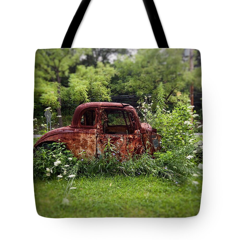 Rust Tote Bag featuring the photograph Lawn Ornament by Rick Kuperberg Sr
