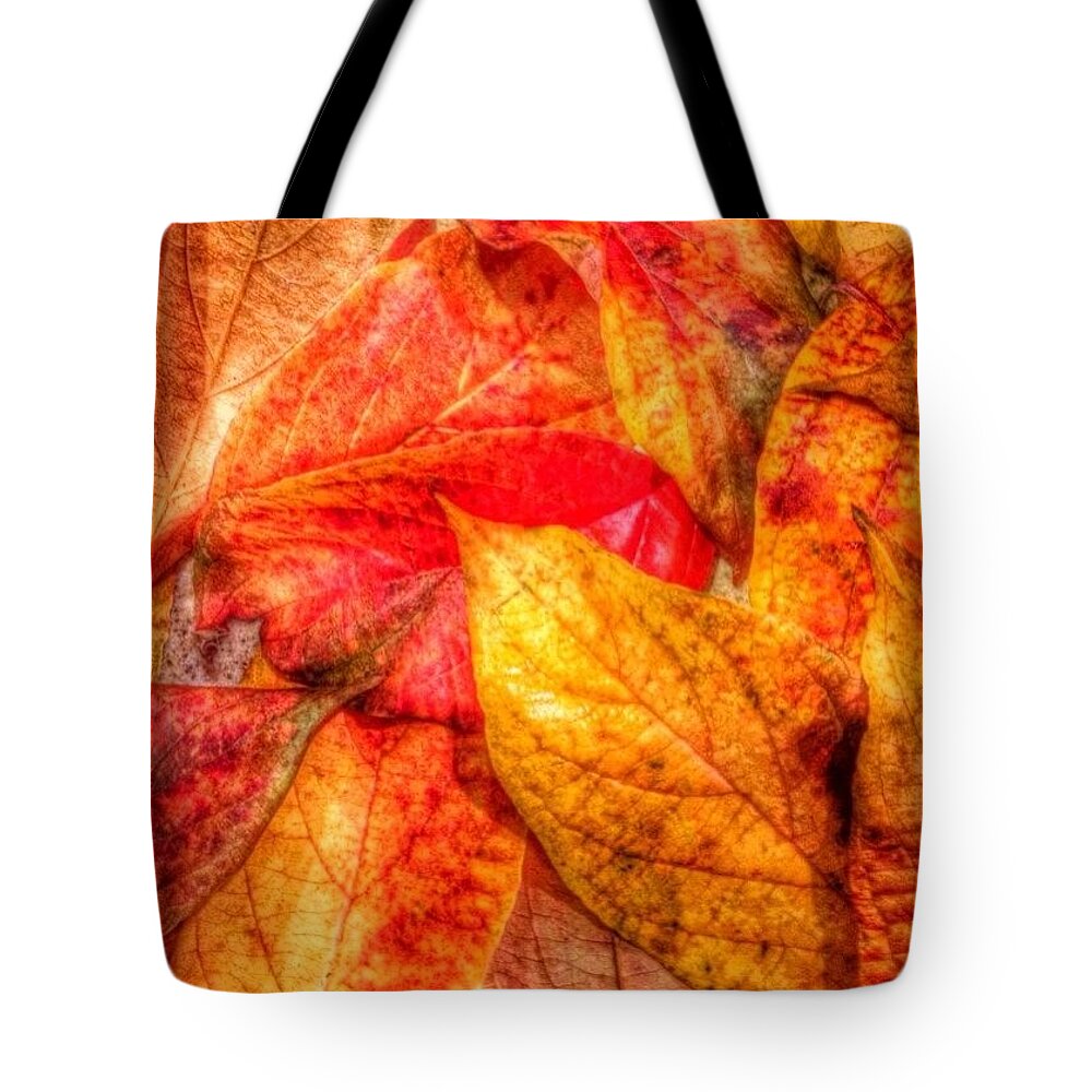 Global_nature Tote Bag featuring the photograph Layered #leaveonlyleaves #gotd_299 by Anna Porter