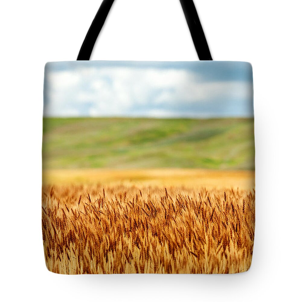 What Tote Bag featuring the photograph Layers of Grain by Todd Klassy