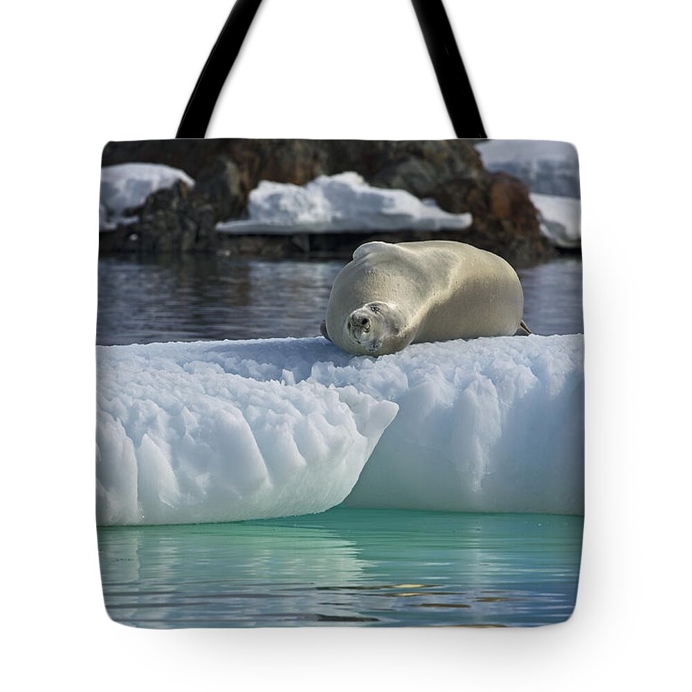 Festblues Tote Bag featuring the photograph Lazy Days... by Nina Stavlund