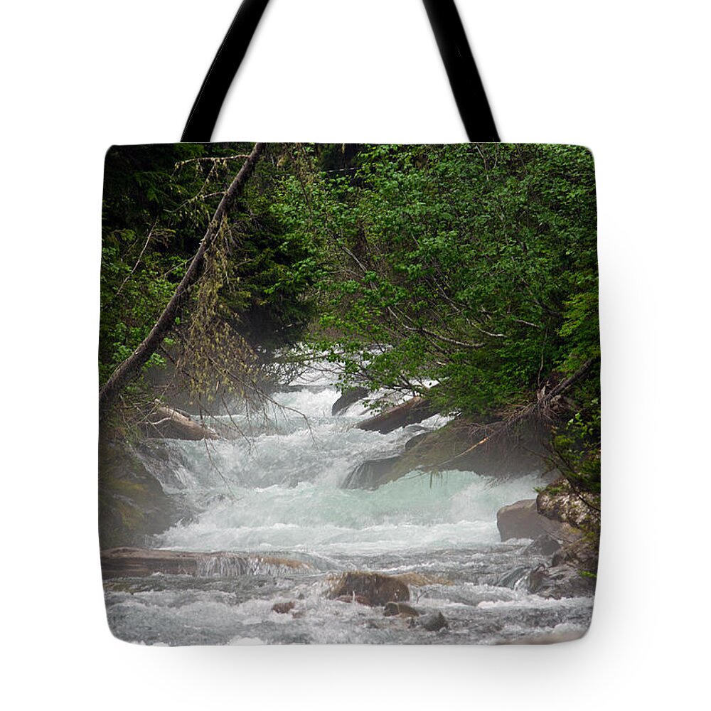 Narada River Tote Bag featuring the photograph Leading Up to Narada Falls by Tikvah's Hope