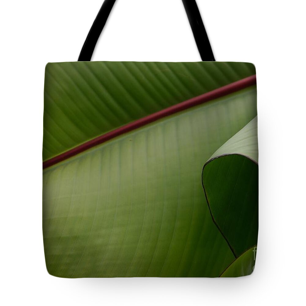 Leaf Tote Bag featuring the photograph Leaf Abstract by Jane Ford