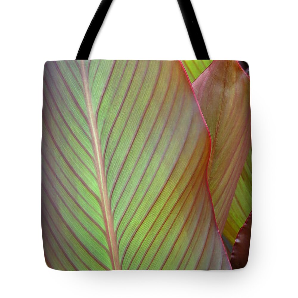 Leaf Tote Bag featuring the photograph Leaf by Anita Adams