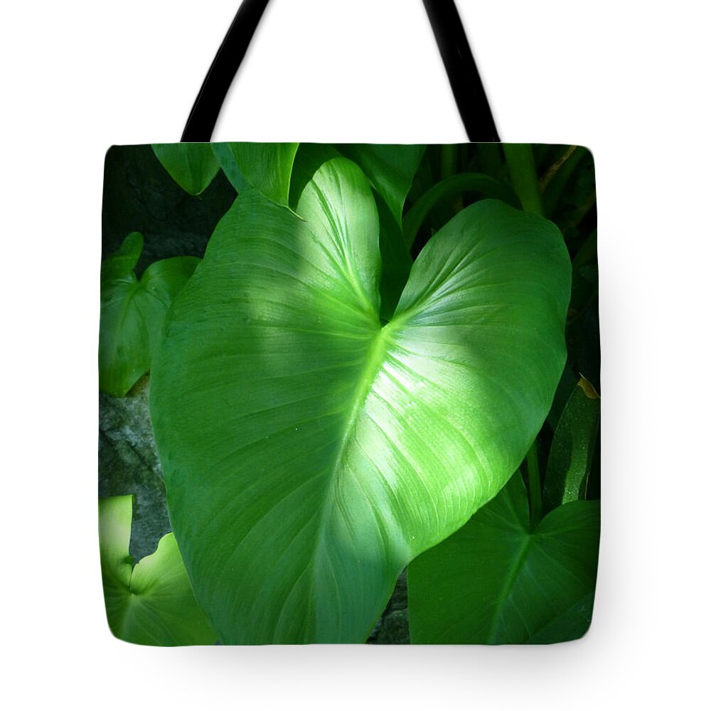 Leaf Tote Bag featuring the photograph Leaf Heart by Claudia Goodell
