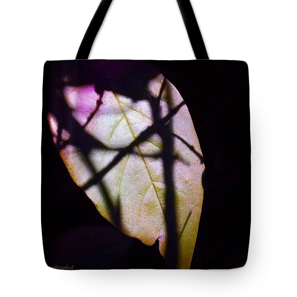 Annasgardens Tote Bag featuring the photograph Leaf Patterns II, #annasgardens by Anna Porter