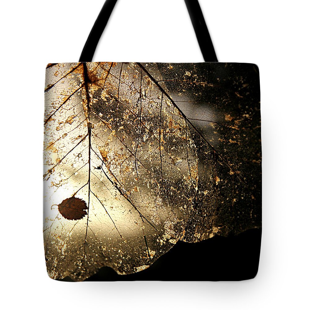Leaf Tote Bag featuring the photograph Faerie Wings II by KATIE Vigil