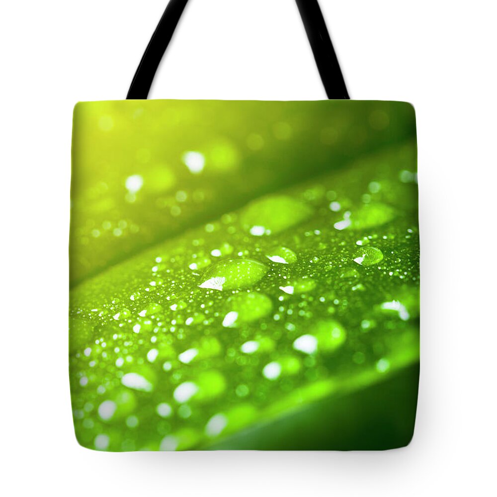 Purity Tote Bag featuring the photograph Leaf With Rain Droplets by Neoblues