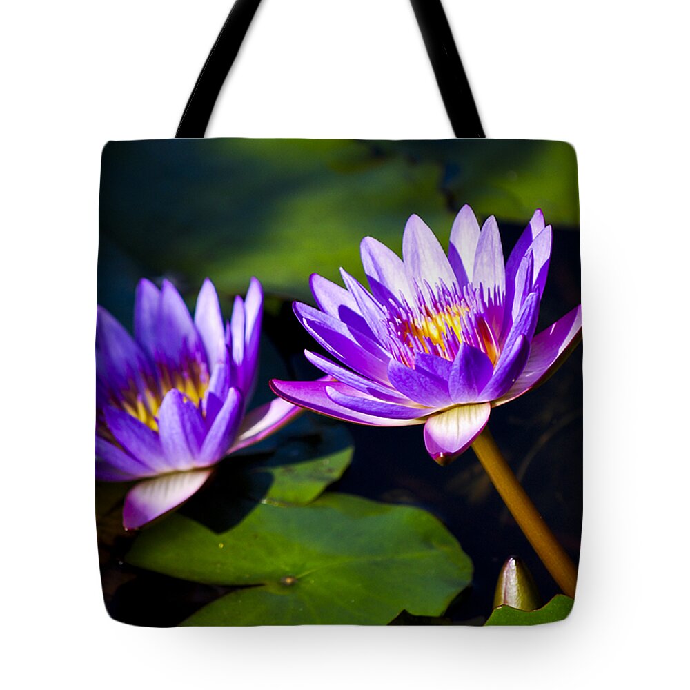 Bloom Tote Bag featuring the photograph Leaning Lily by Christi Kraft