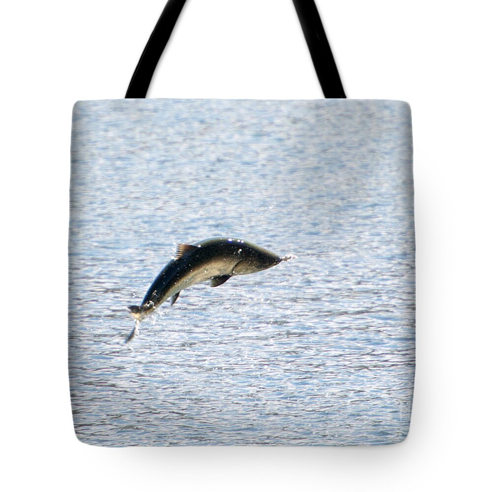 Chinook Salmon Tote Bag featuring the photograph Leaping Chinook by Michael Dawson