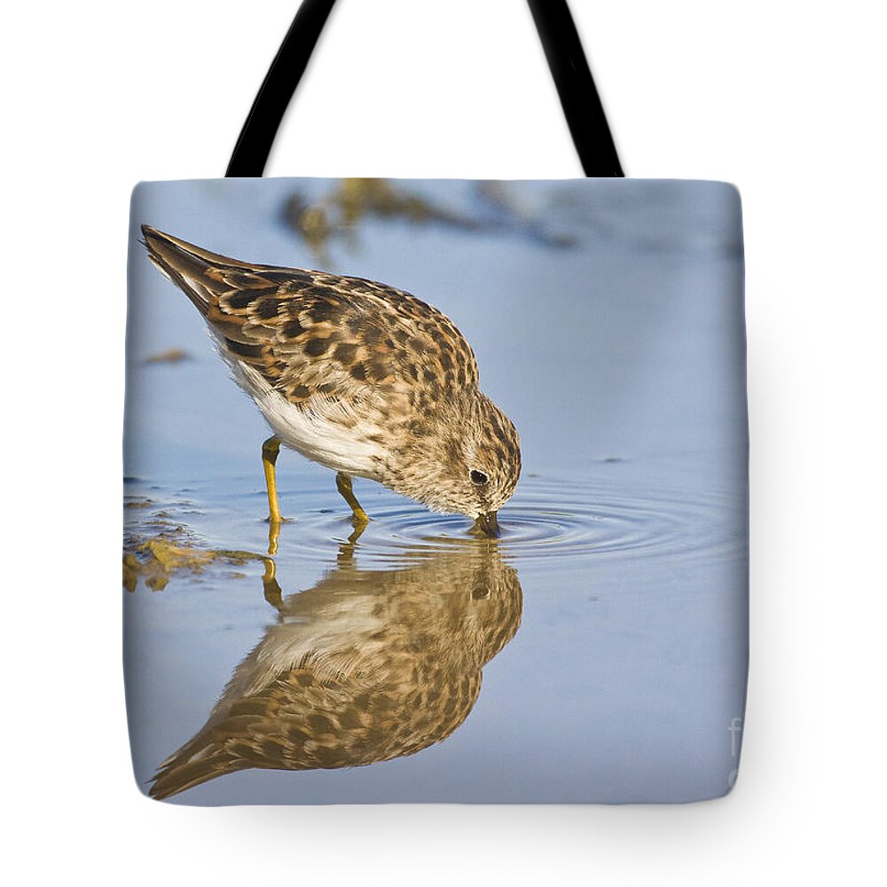 Sandpiper Tote Bag featuring the photograph Least Sandpiper with a reflection by Ruth Jolly