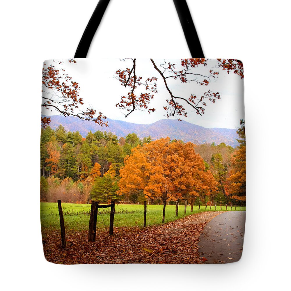 Reds Tote Bag featuring the photograph Leaves A'fallin by Geraldine DeBoer