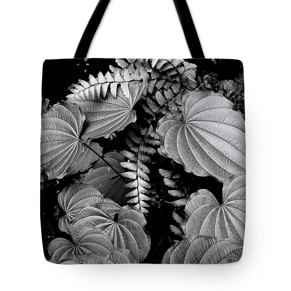 Leaves And Fern Tote Bag featuring the photograph Leaves and Fern by Michael Eingle