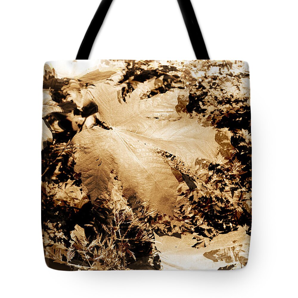 Leaves Tote Bag featuring the photograph Leaves in Abstract monochrome by Cathy Anderson