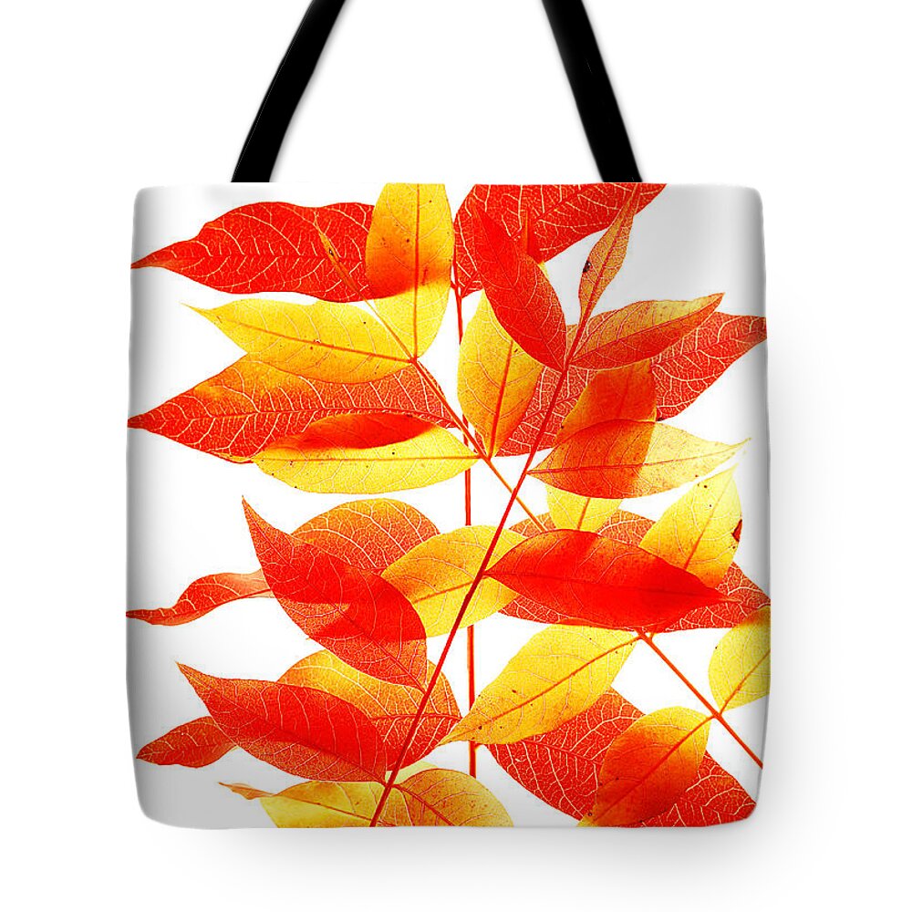 Leaves Tote Bag featuring the photograph Leaves in Fall by Robert Woodward