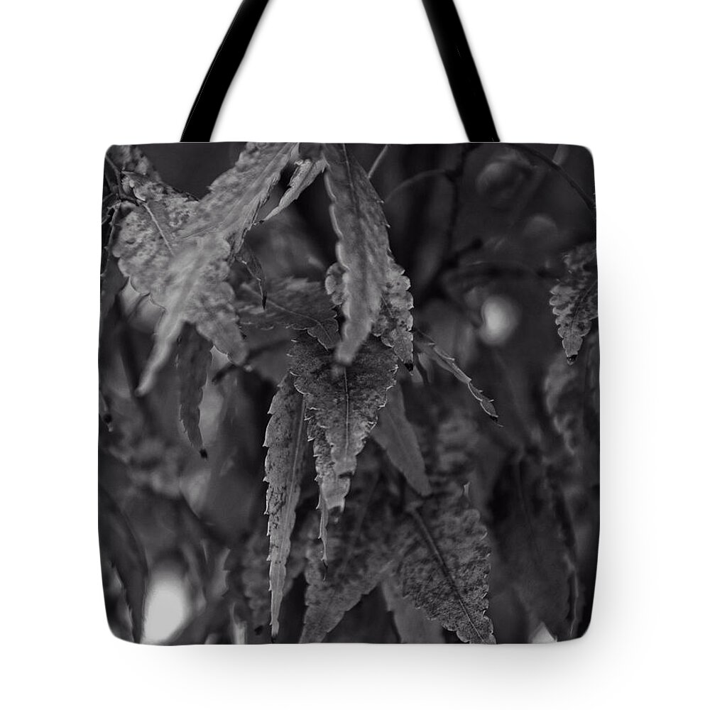 Leaves Tote Bag featuring the photograph Leaves On A Tree by Flees Photos