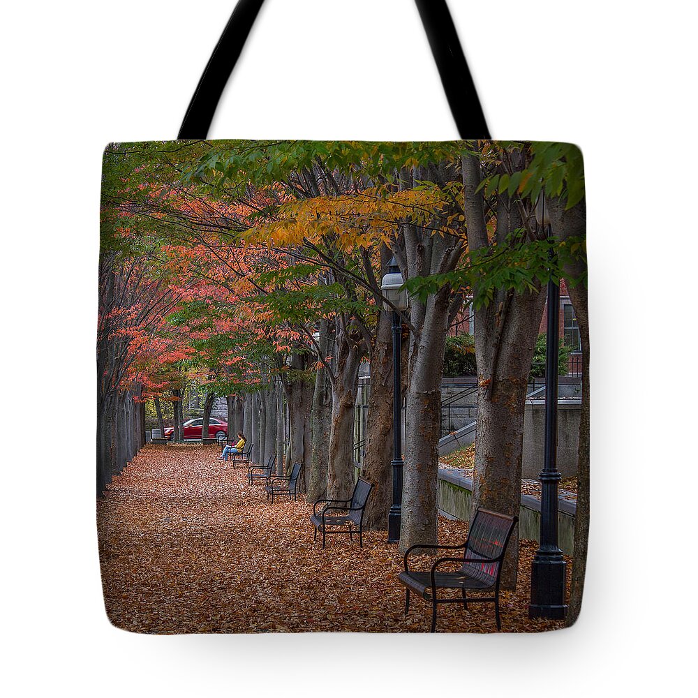 Fall Tote Bag featuring the photograph Leaving by Glenn DiPaola