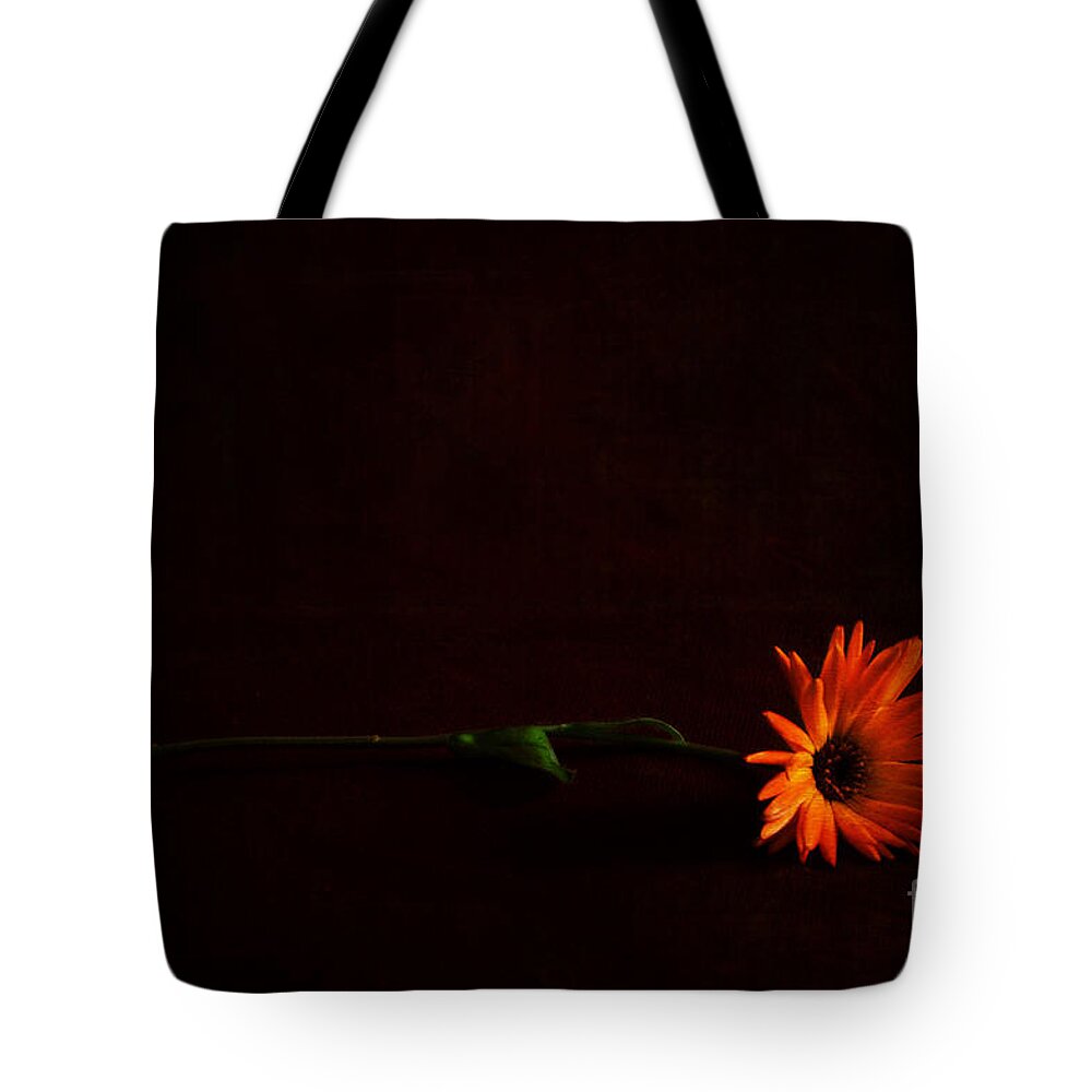 Flowers Tote Bag featuring the photograph Left Behind by Randi Grace Nilsberg