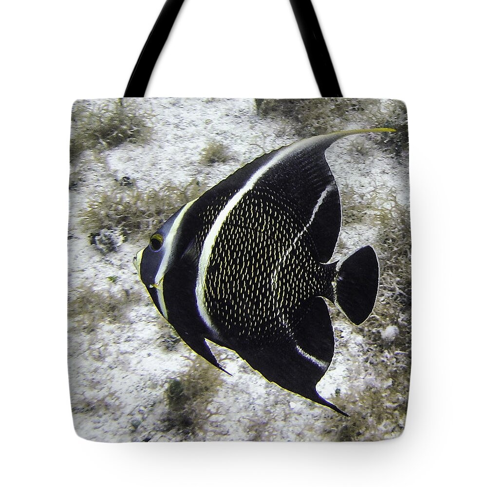 Fish Tote Bag featuring the photograph Left Turn by Lynne Browne