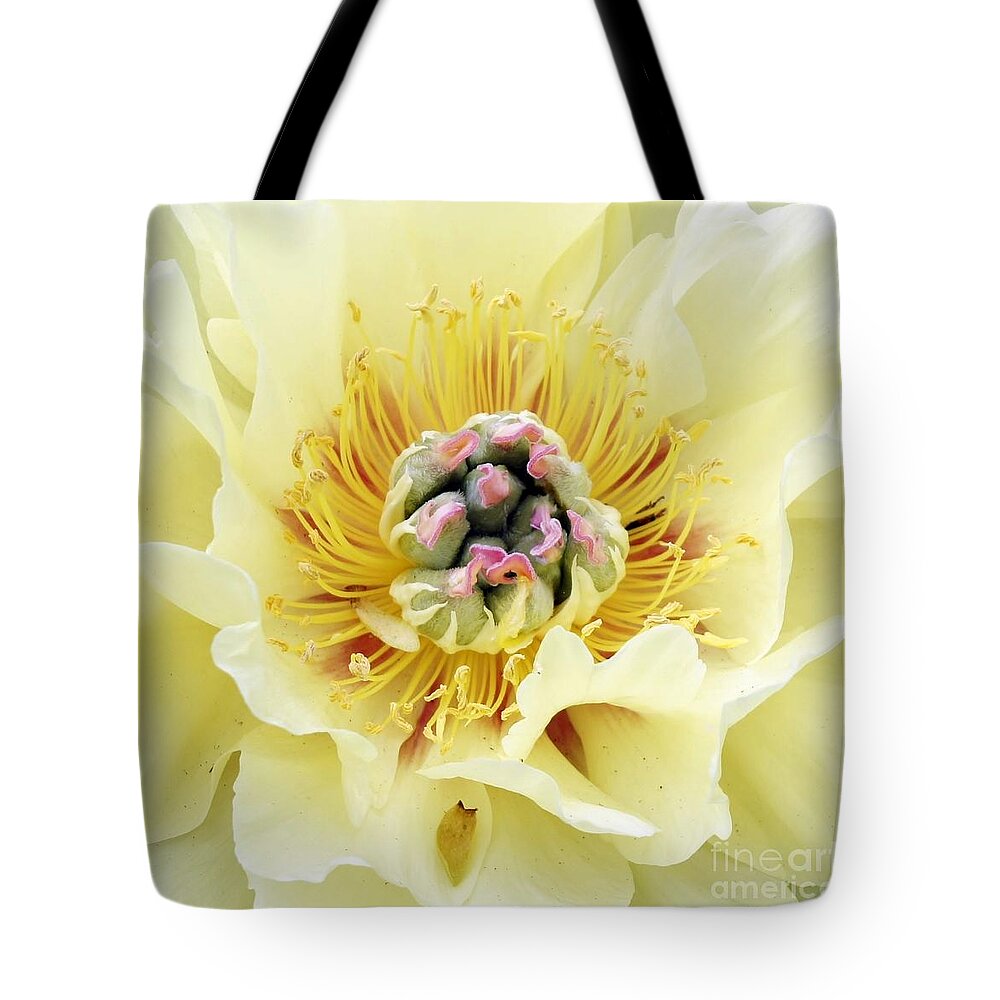 Yellow Tote Bag featuring the photograph Lemonade by Lilliana Mendez