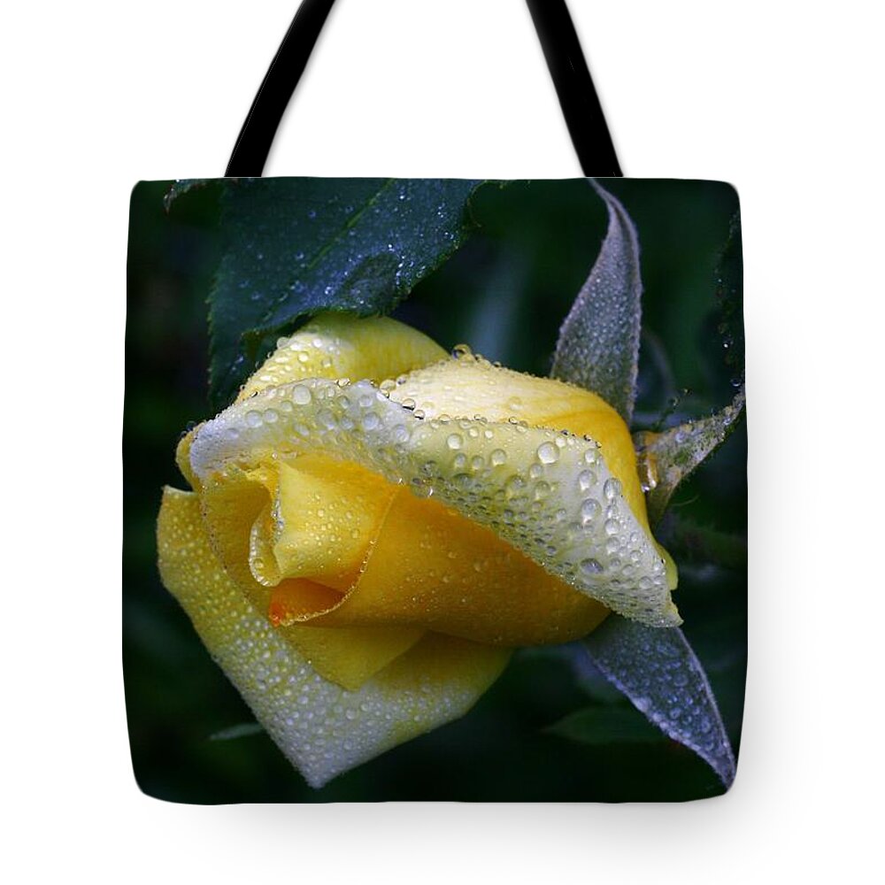 Rose Tote Bag featuring the photograph Lemonaid by Doug Norkum