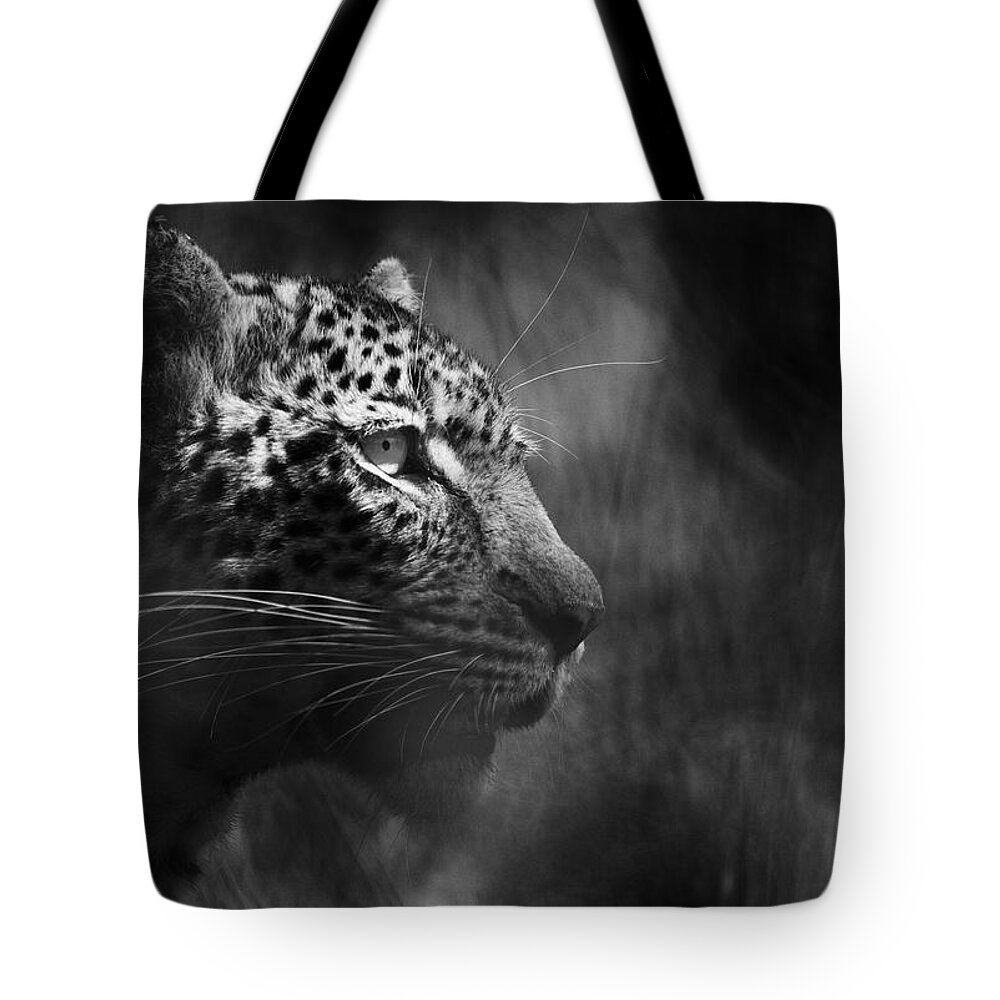 Leopard Tote Bag featuring the photograph Leopard in Shadows by Max Waugh