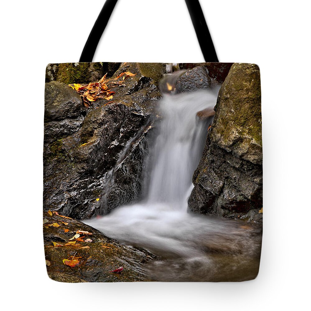 Fall Tote Bag featuring the photograph LePetit Waterfall by Susan Candelario