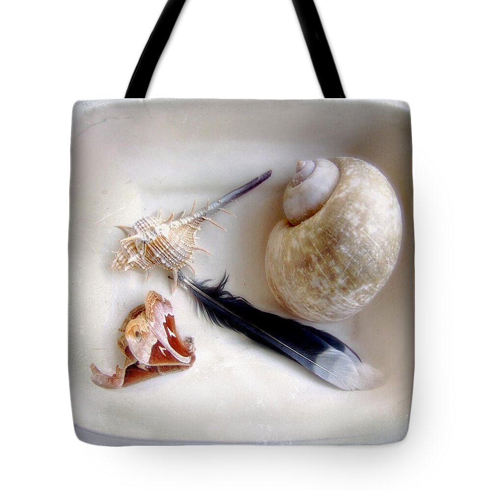 Seashells Tote Bag featuring the photograph Les Souvenirs #1 by Louise Kumpf