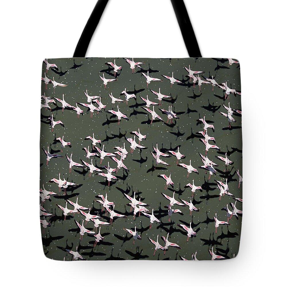 Feb0514 Tote Bag featuring the photograph Lesser Flamingo Flock Flying Lake Kenya by Tim Fitzharris