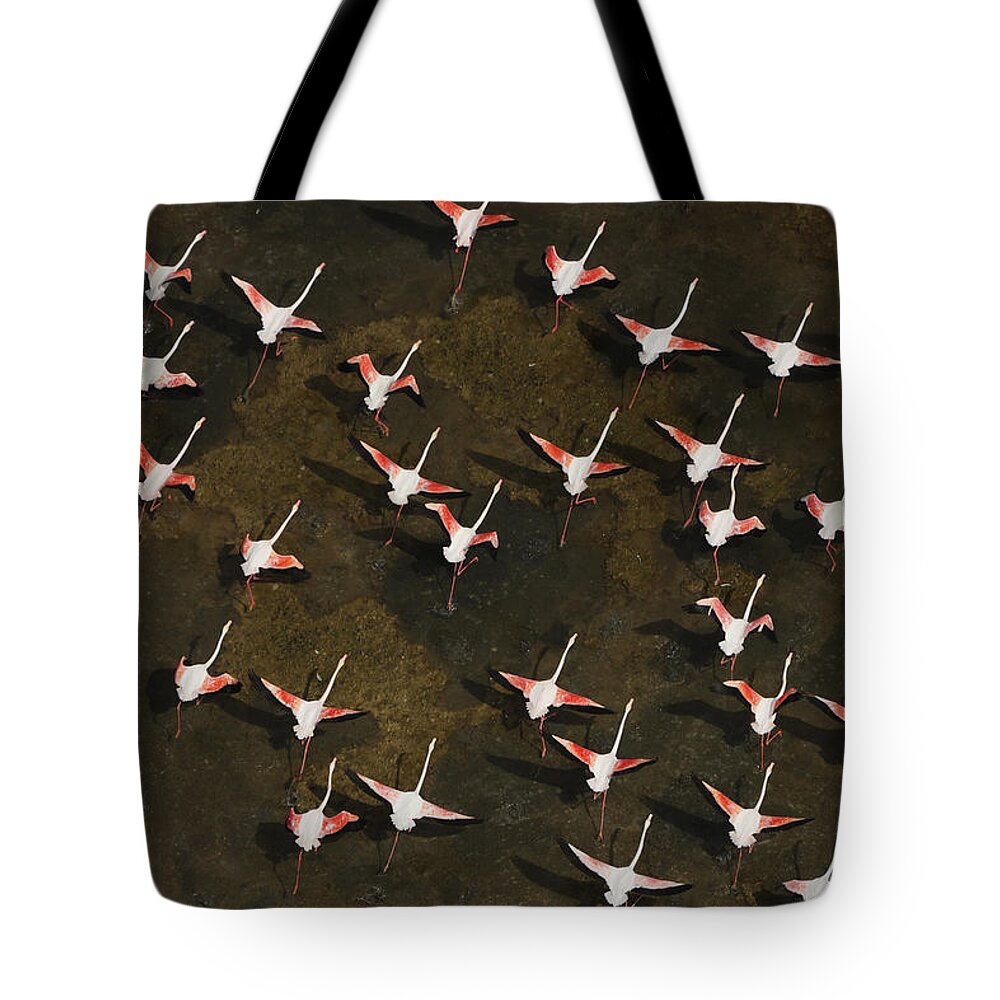 531224 Tote Bag featuring the photograph Lesser Flamingo Flock Flying South by Hiroya Minakuchi