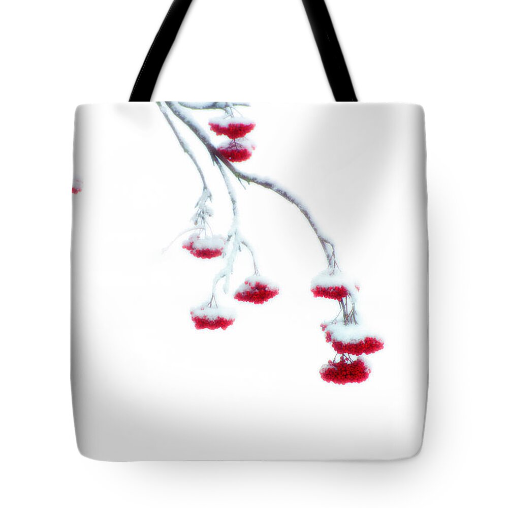 Canada Tote Bag featuring the photograph Let Me Down Easy by Doug Gibbons