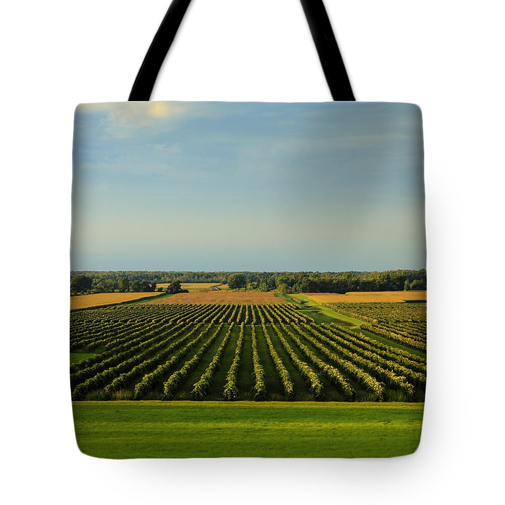 Lewiston Summer Vineyards Tote Bag featuring the photograph Lewiston Summer Vineyards by Rachel Cohen