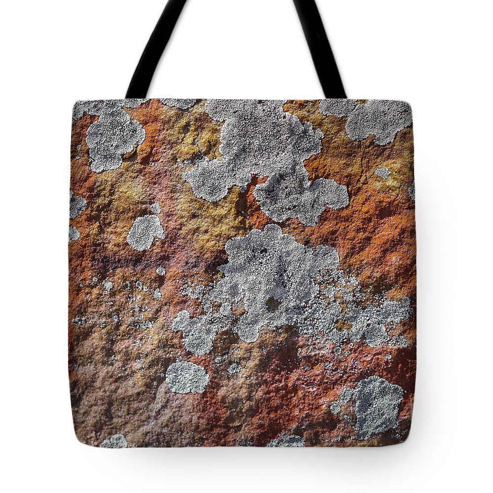 Gibraltar Rocks Tote Bag featuring the photograph Lichen On Sandstone by Steven Ralser