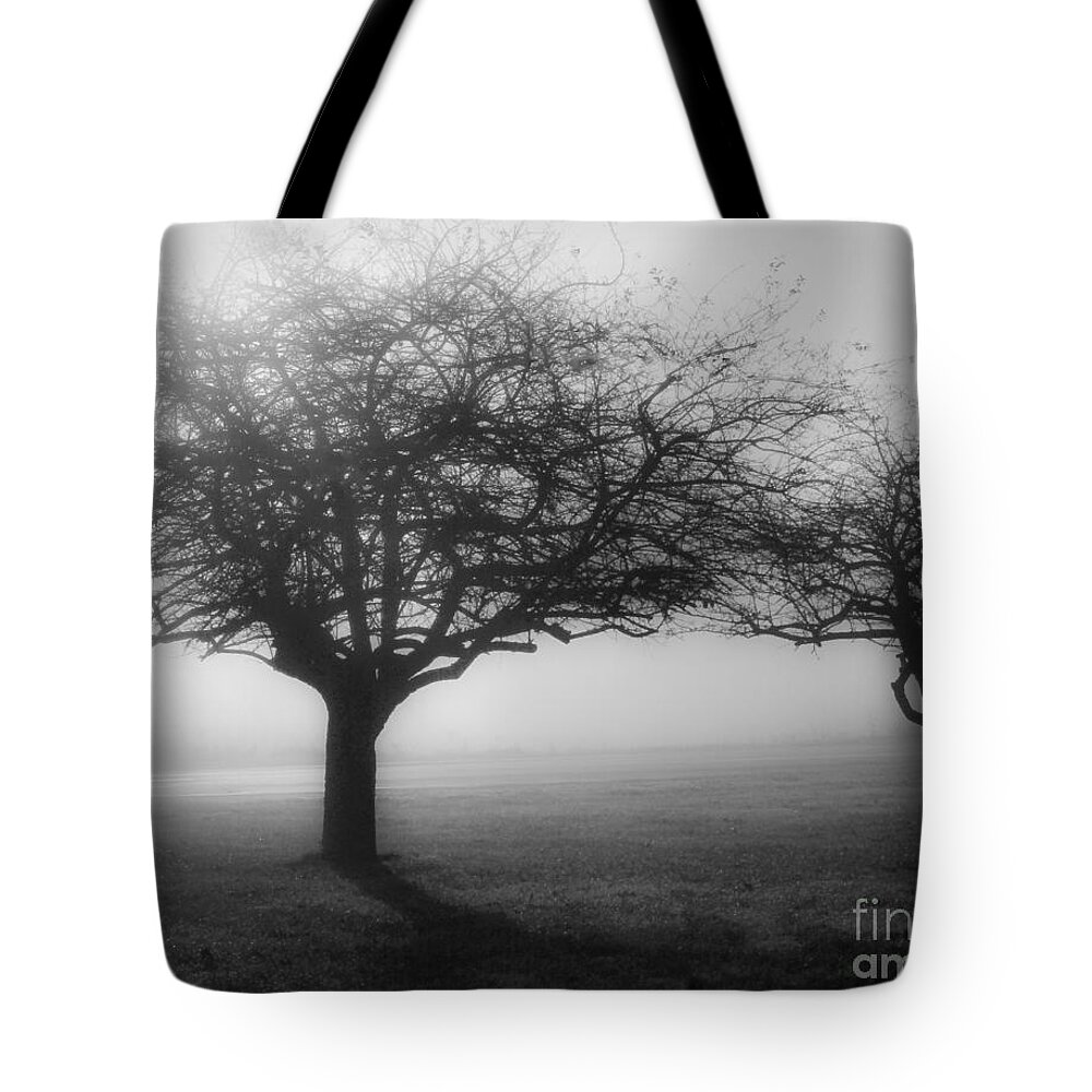Trees Tote Bag featuring the photograph Life Among the Trees by Brenda Giasson